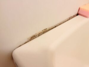 天井や壁のカビが気になる